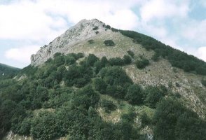 Iparraldetik