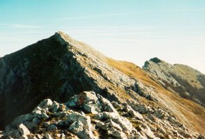 Tontorra