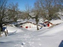 Txabolak elurpean