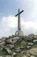 Tontorra