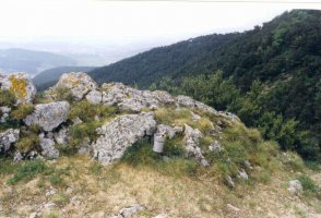 Tontorra