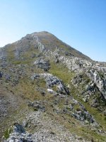 IMko bizkarra