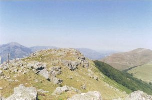 Tontorra