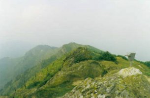 Tontorra