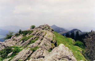 Tontorra