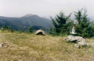Tontorra
