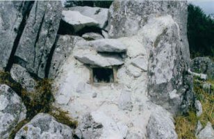 Jaiotze