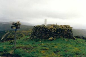 Tontorra