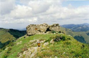 Tontorra
