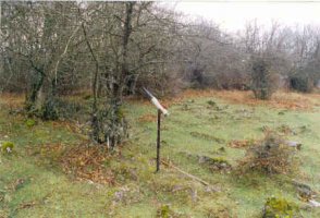 Tontorra