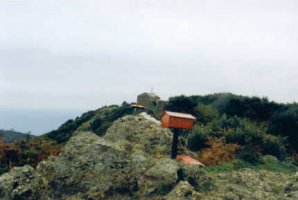 Tontorra