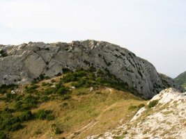 Tontorra