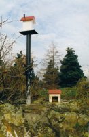 Tontorra