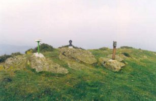 Tontorra