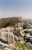 Tontorra