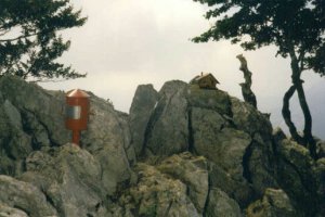 Tontorra