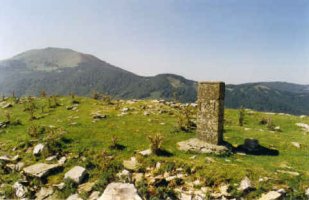 Tontorra