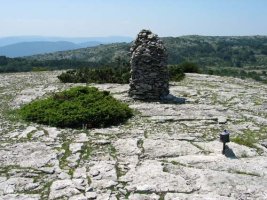 Tontorra