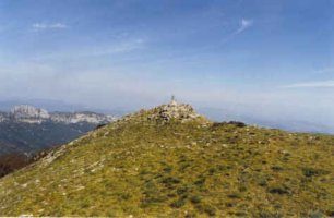 Tontorra