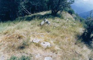 Tontorra