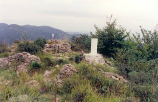 Tontorra