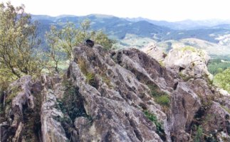 Tontorra