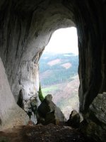 Leizearen irteera