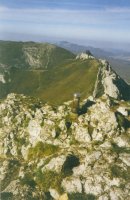 Tontorra