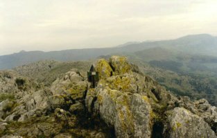 Tontorra