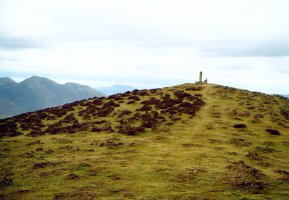 Tontorra