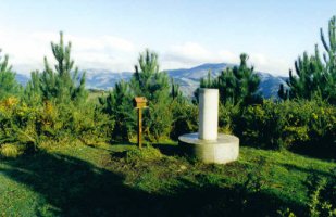 Tontorra