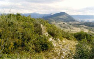 Tontorra