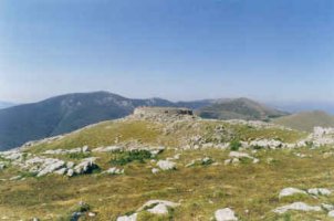 Tontorra
