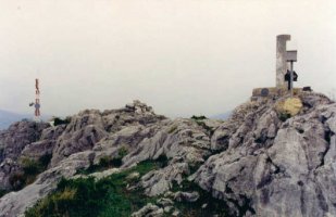 Tontorra