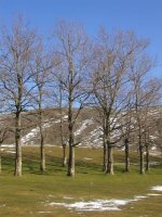 URBIA