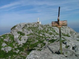 TONTORRA