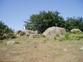Tontorra