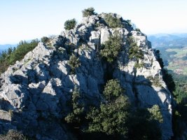 Tontorra