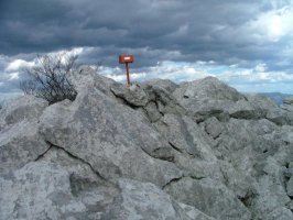 TONTORRA