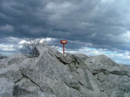 TONTORRA