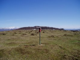 Tontorra