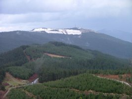 DESDE KOLITZA