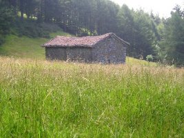 bidean