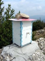 Buzoia