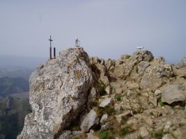 Tontorra