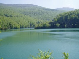 Irabia urtegia