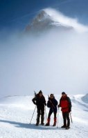 En la niebla
