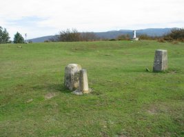 Tontorra