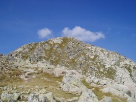 Tontorra