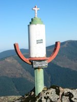 Buzoia